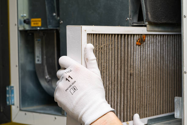 Best Air Quality Test  in Shafter, CA