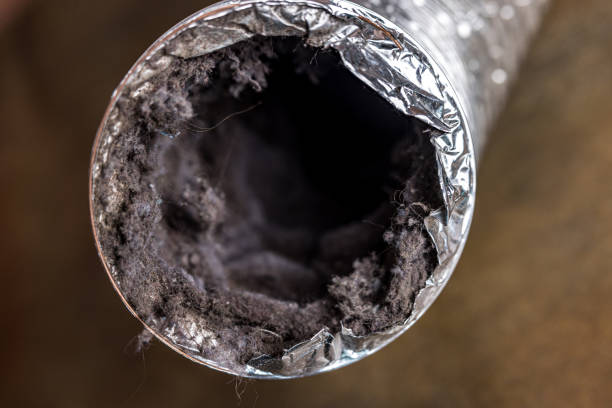 Best HVAC Air Duct Cleaning  in Shafter, CA