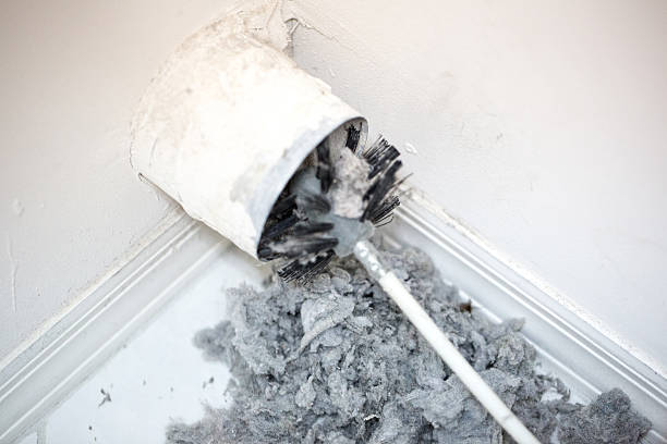 Best Affordable Air Duct Cleaning  in Shafter, CA